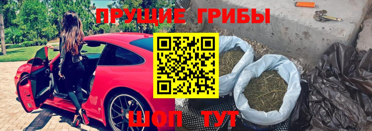 Шуя  Галлюциногенные грибы Psilocybe  Вход с VPN 