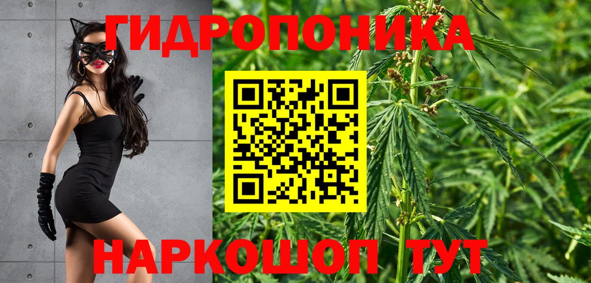 Бошки марихуана ГИДРОПОН Шуя